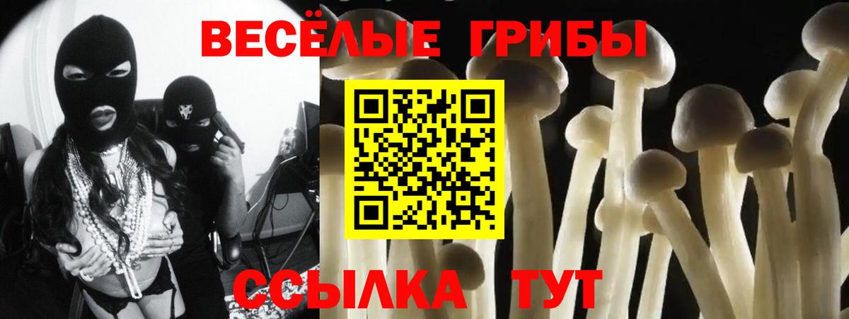 Псилоцибиновые грибы мухоморы Дербент