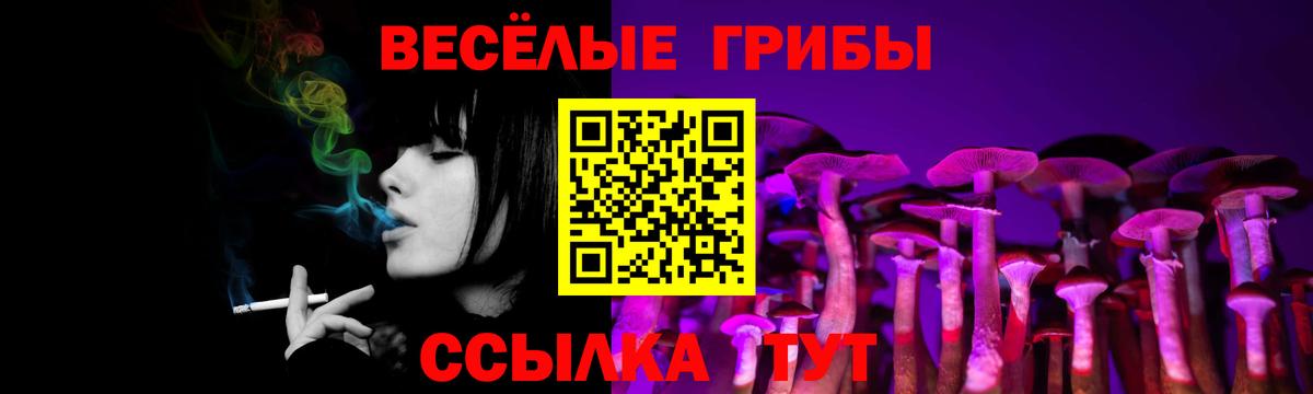 Псилоцибиновые грибы Psilocybe  Вход с VPN  Галлюциногенные грибы Magic Shrooms  Дербент 